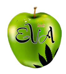 Eva Seeds logo