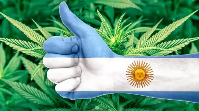 Marihuana en Argentina