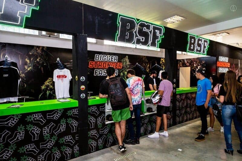 Stand BSF Seeds