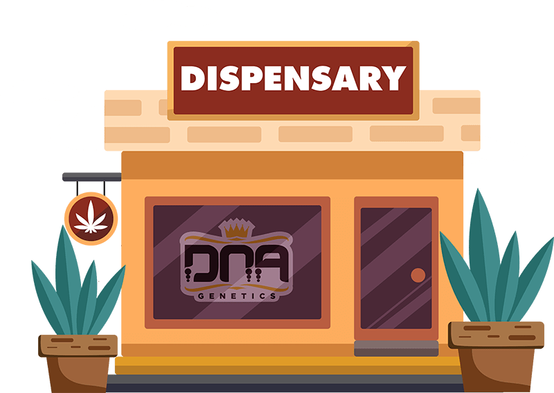 Dispensario DNA Genetics