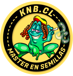 Knb.cl